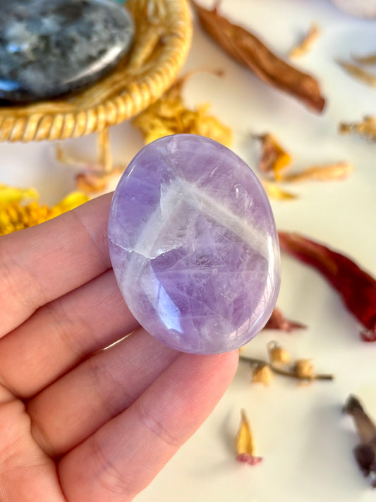 Amethyst Palm