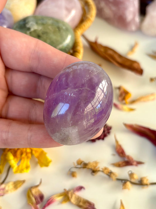 Amethyst Palm