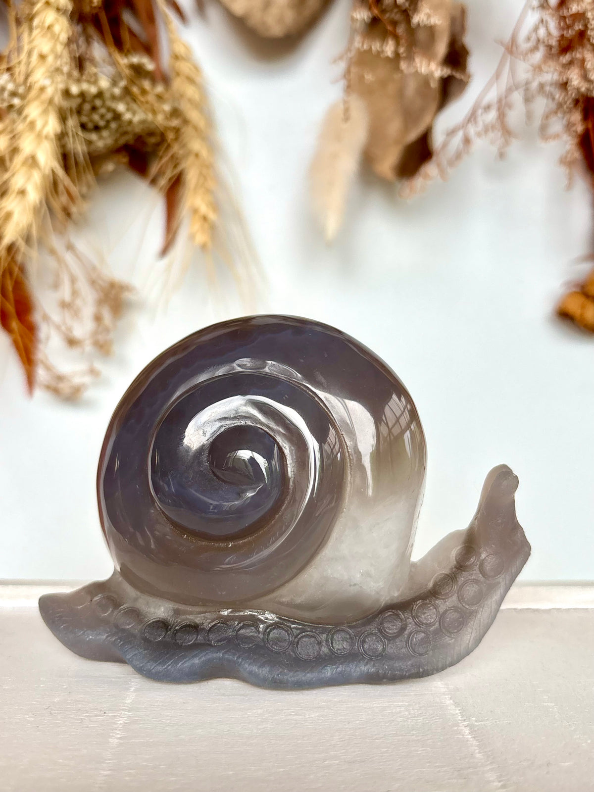 Agate Druse House Snail (his name is Simon)