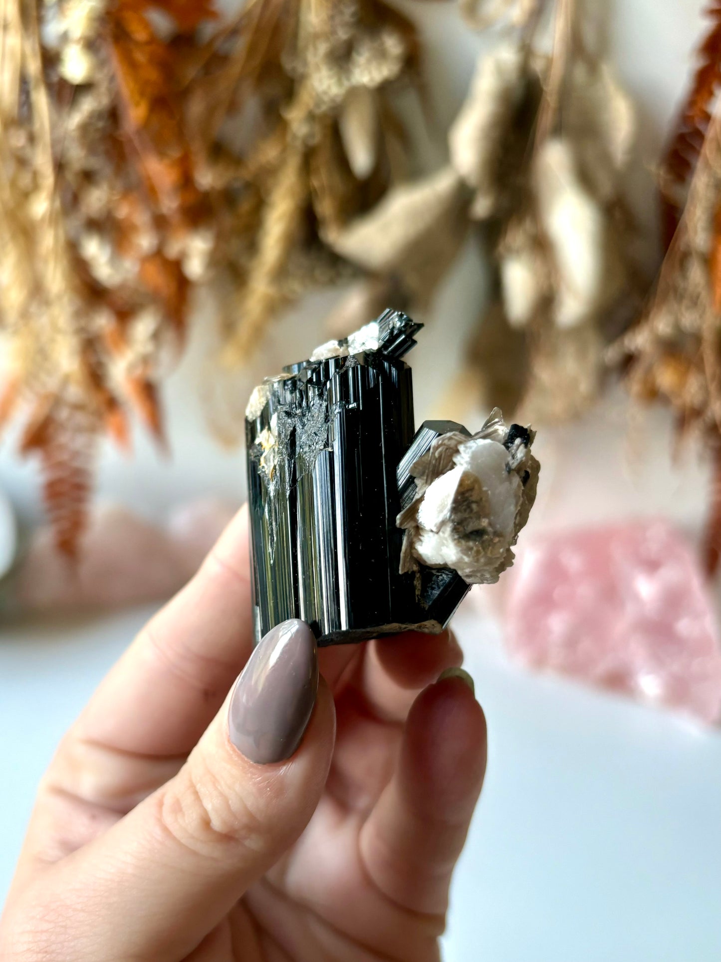 Schorl Tourmaline with a little Muscovite