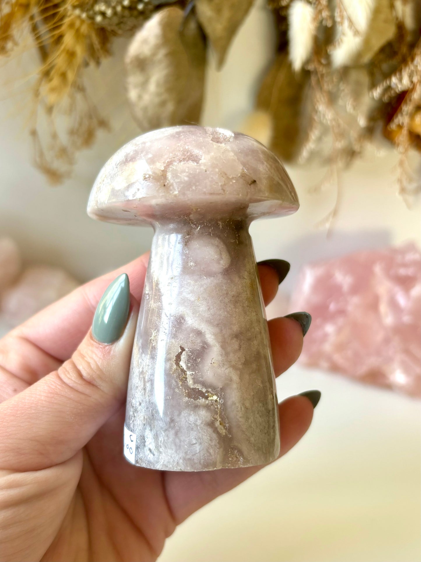 Flower Agate Mushroom (C)