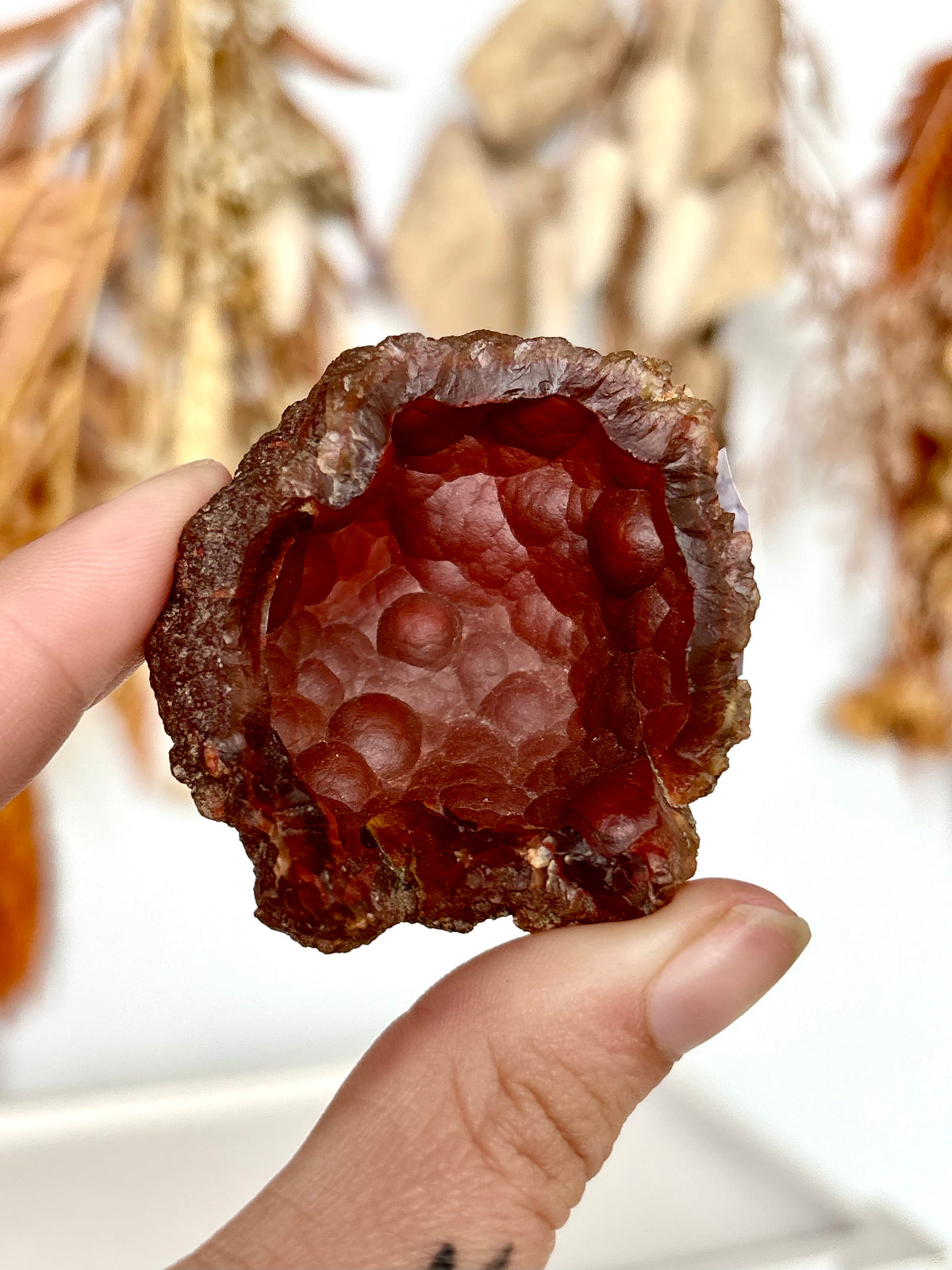Red Fox Agate Botryoidal Geode (Rare)