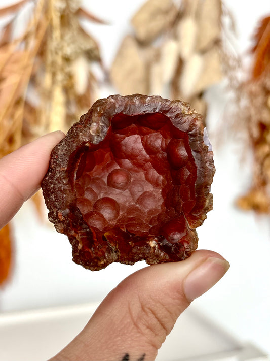 Red Fox Agate Botryoidal Geode (Rare)
