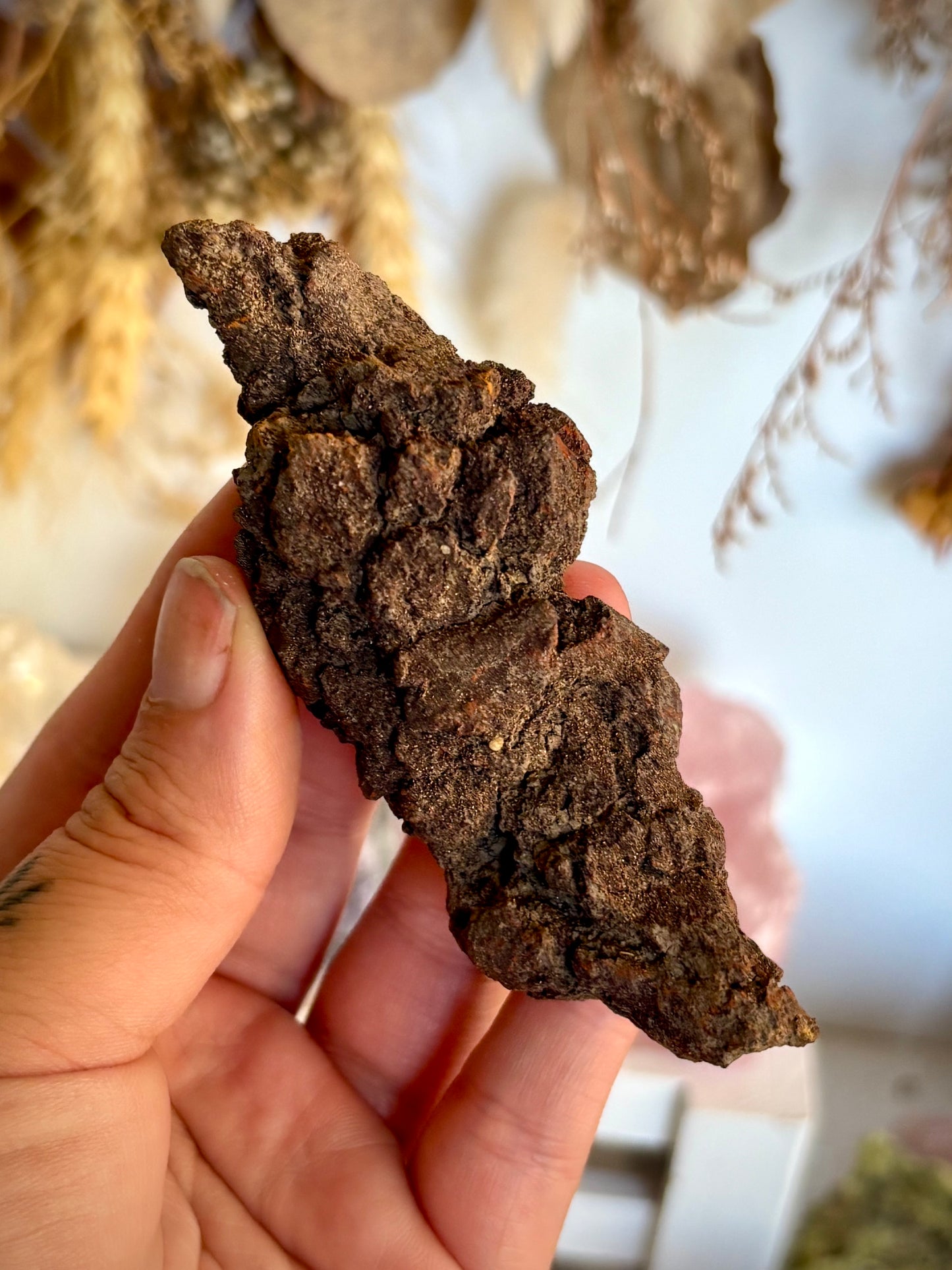 Fossilised Dinosaur Crap - Coprolite