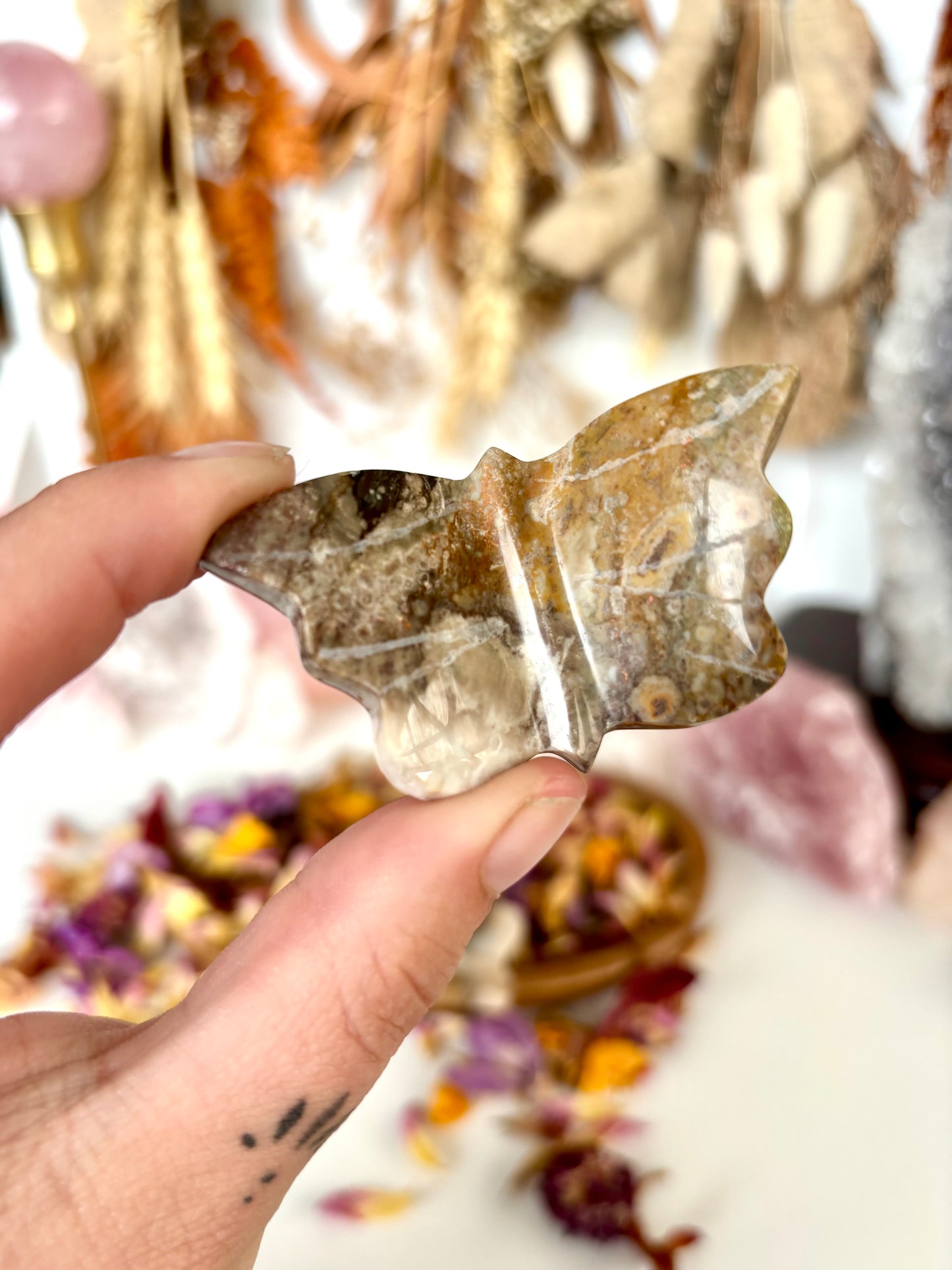 Petrified Wood Butterfly
