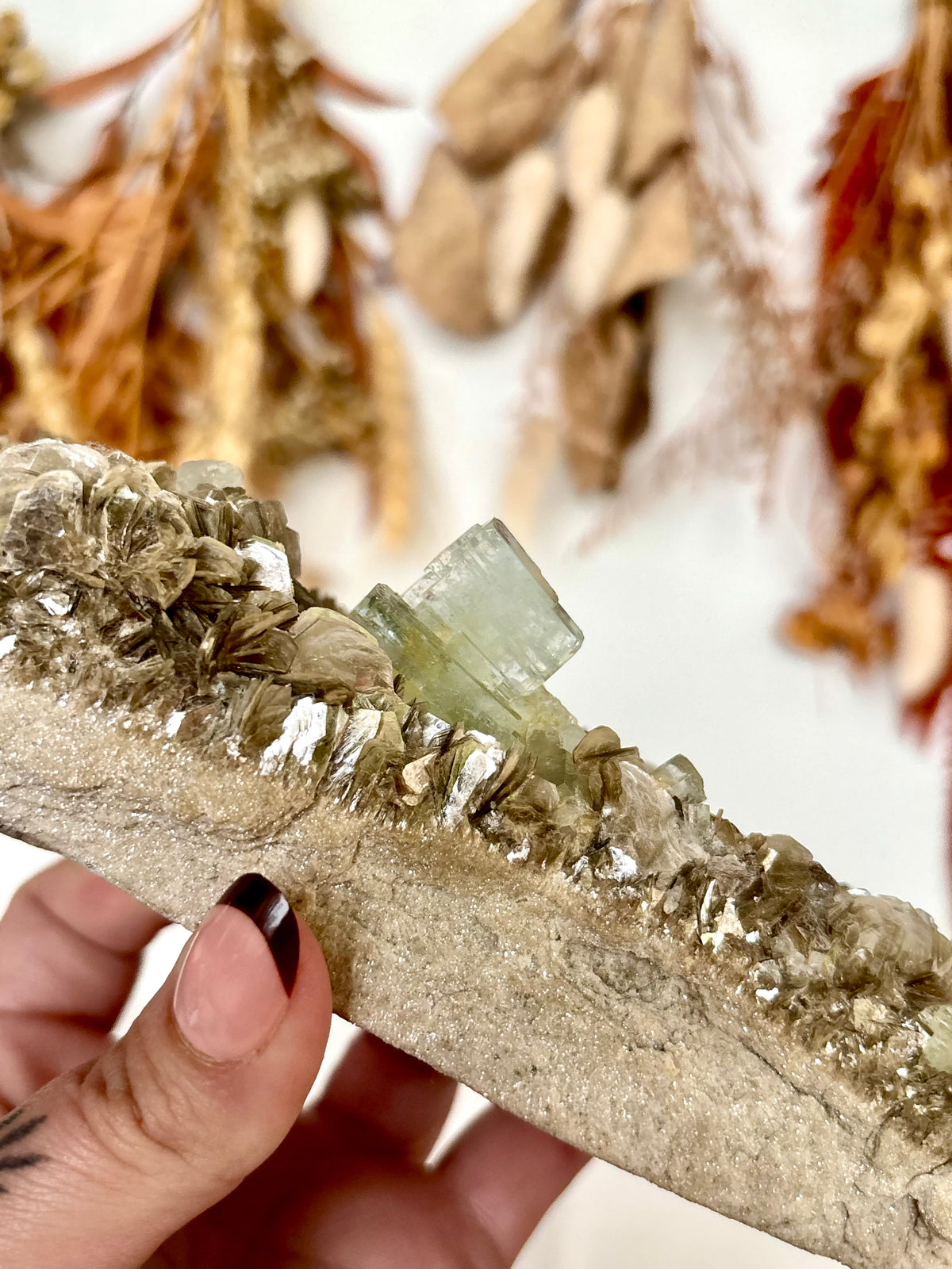 Aquamarine Crystals on Muscovite - Pakistan