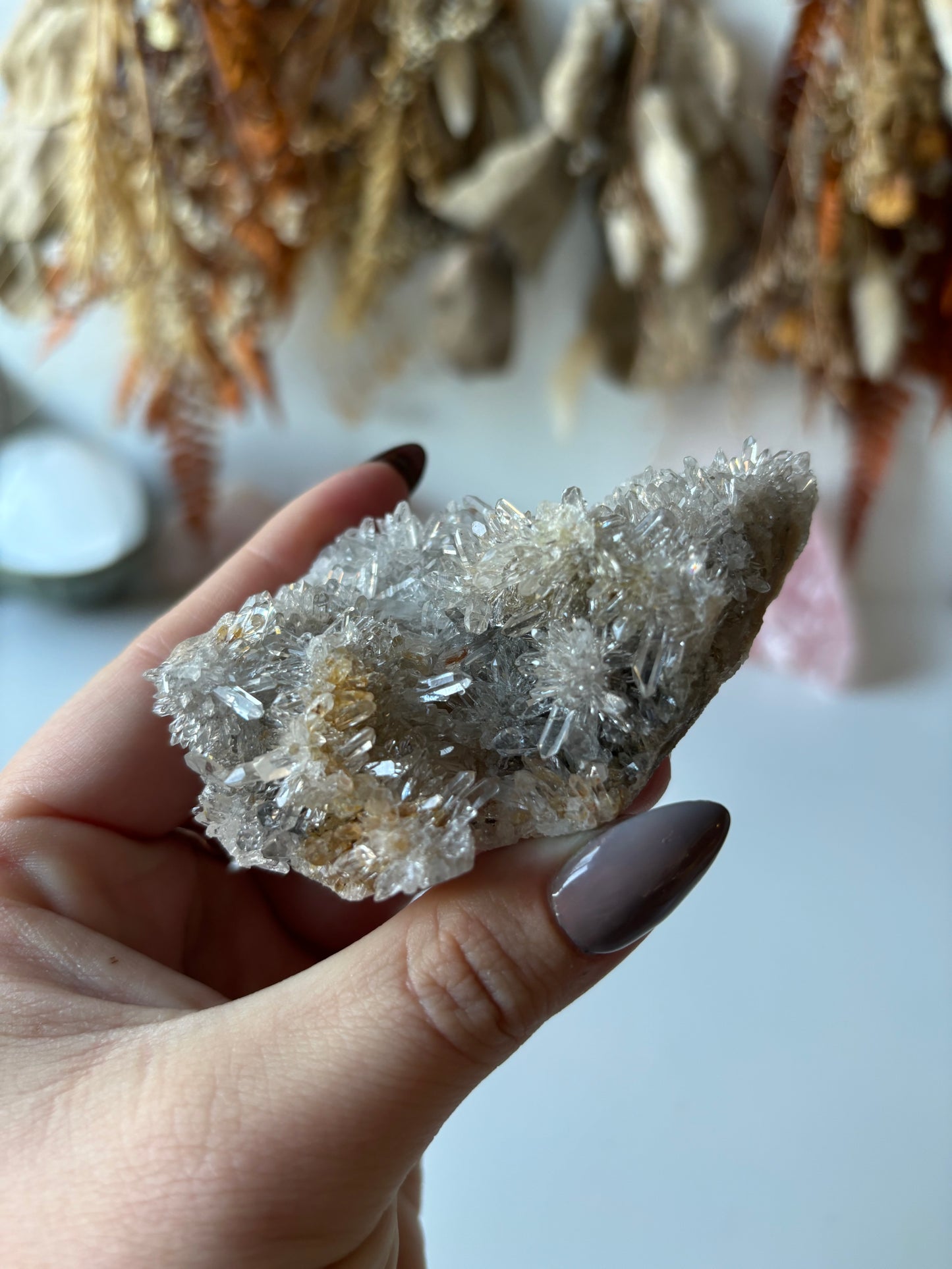 Chrysanthemum Quartz