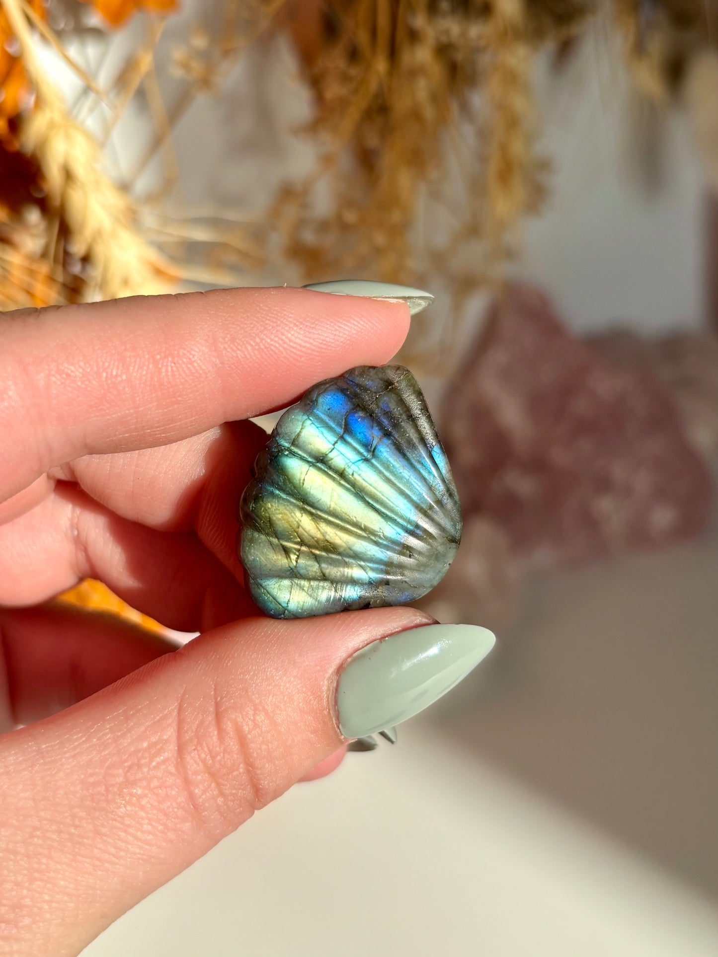 Labradorite Seashell