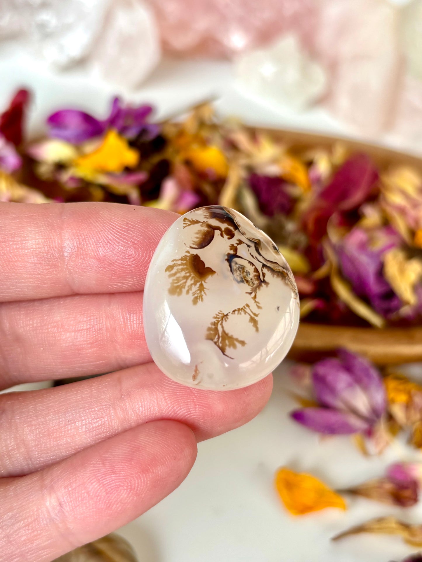 Dendritic Agate Mini Flatstones
