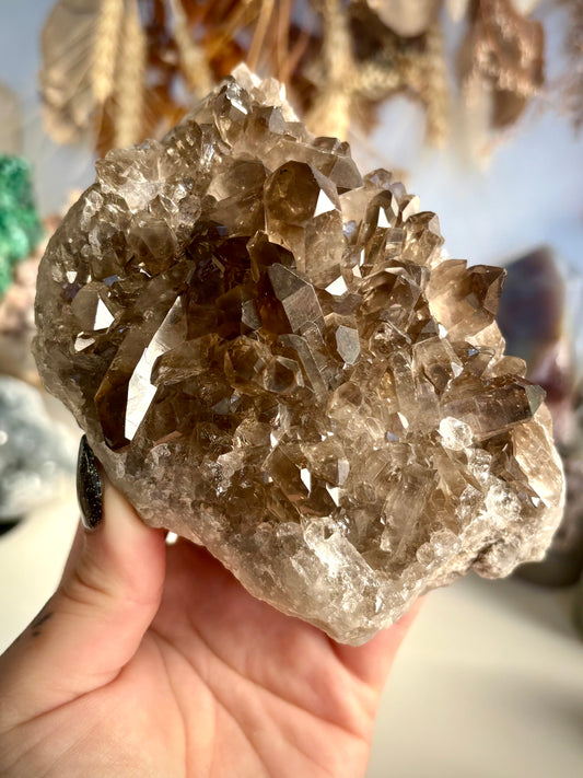 Smoky Quartz Cluster