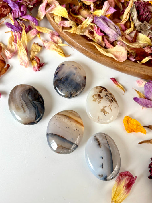 Dendritic Agate Mini Flatstones