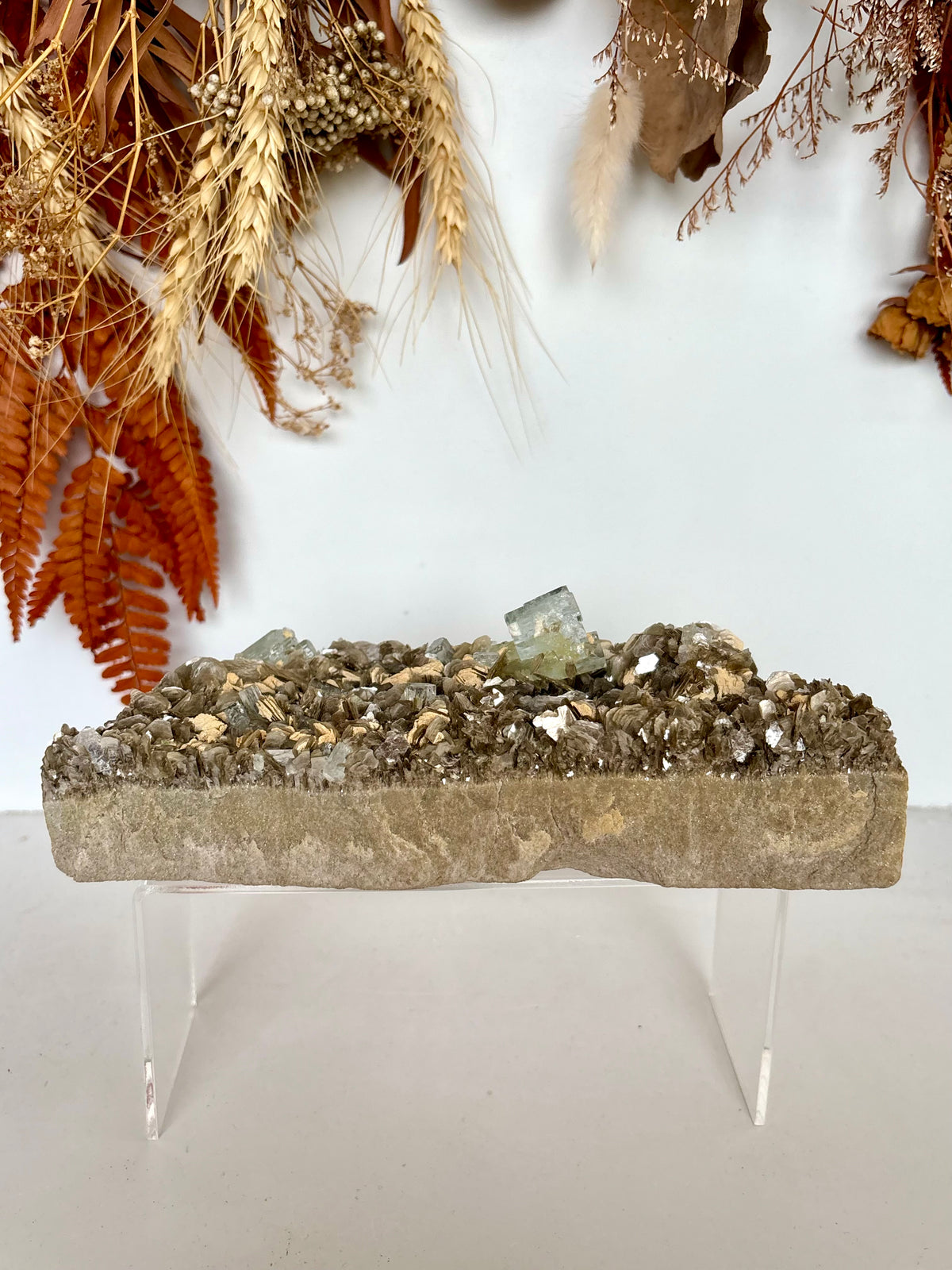 Aquamarine Crystals on Muscovite - Pakistan
