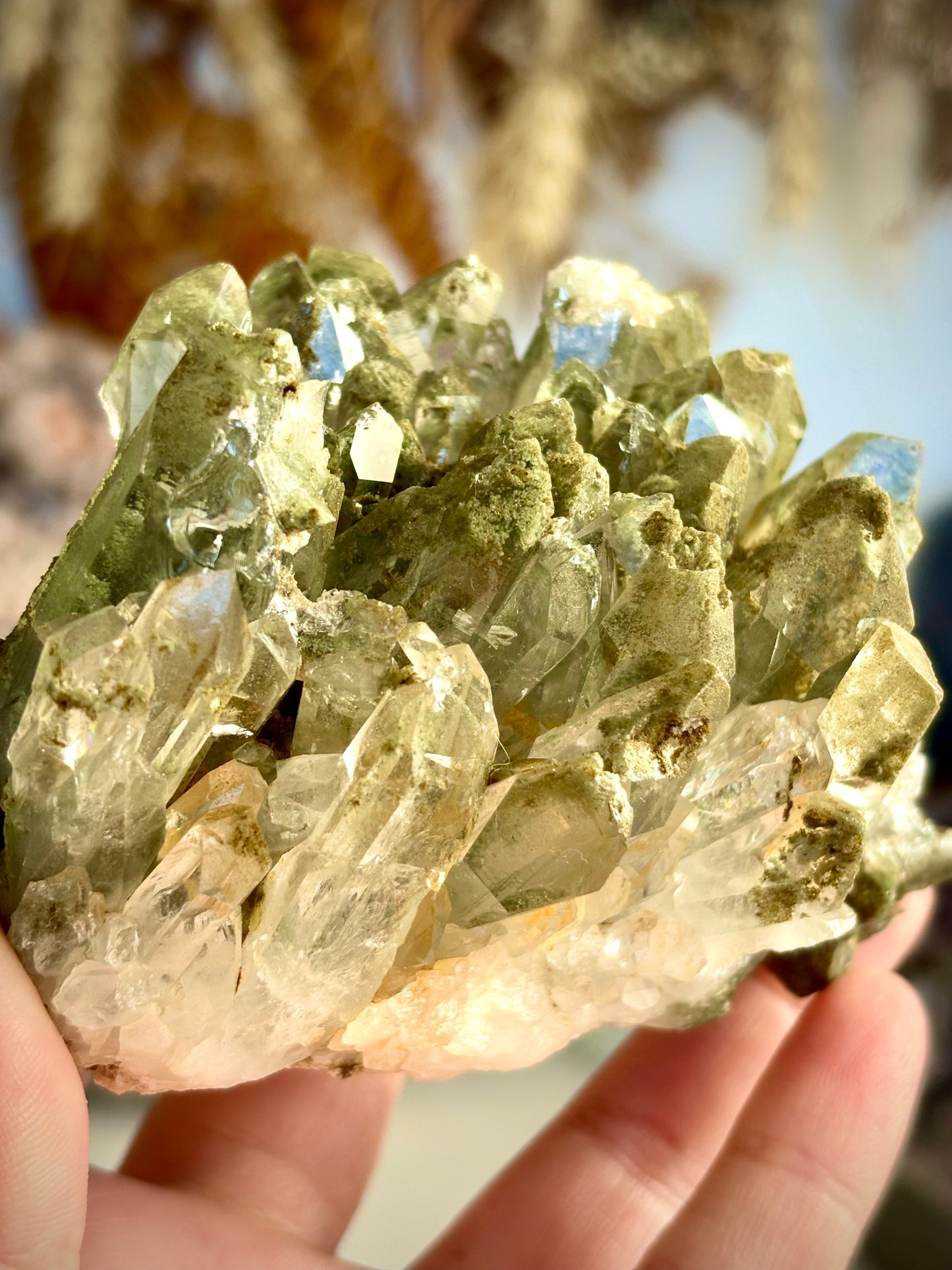Chlorite Included Quartz