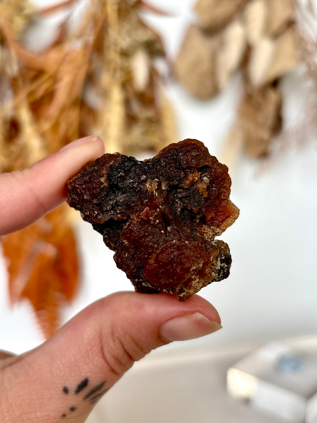 Red Fox Agate Botryoidal Geode (Rare)