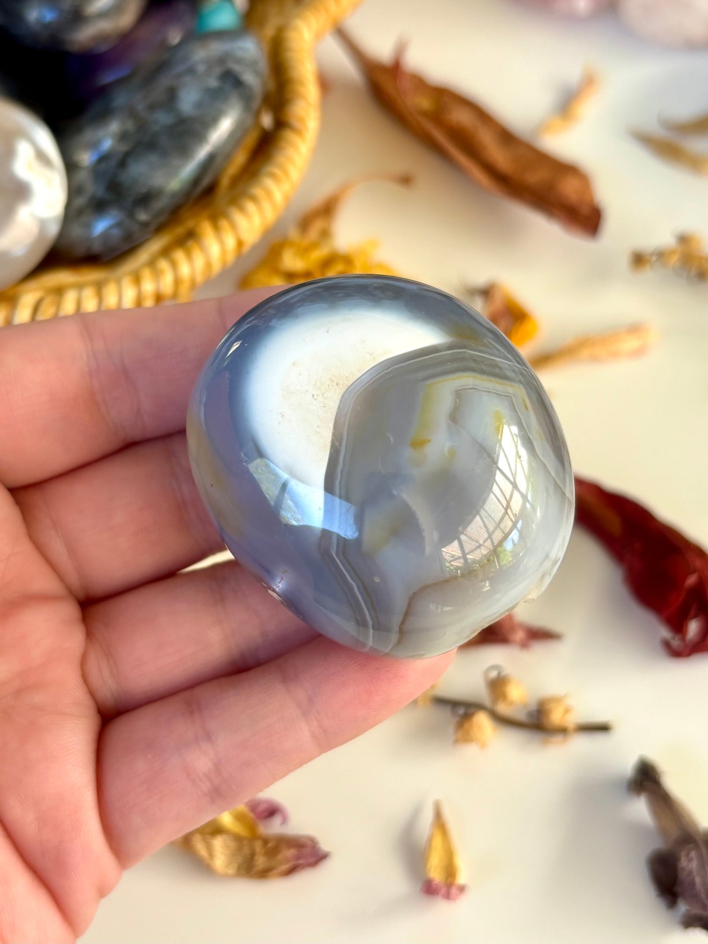 Orca Agate Palm with Druse