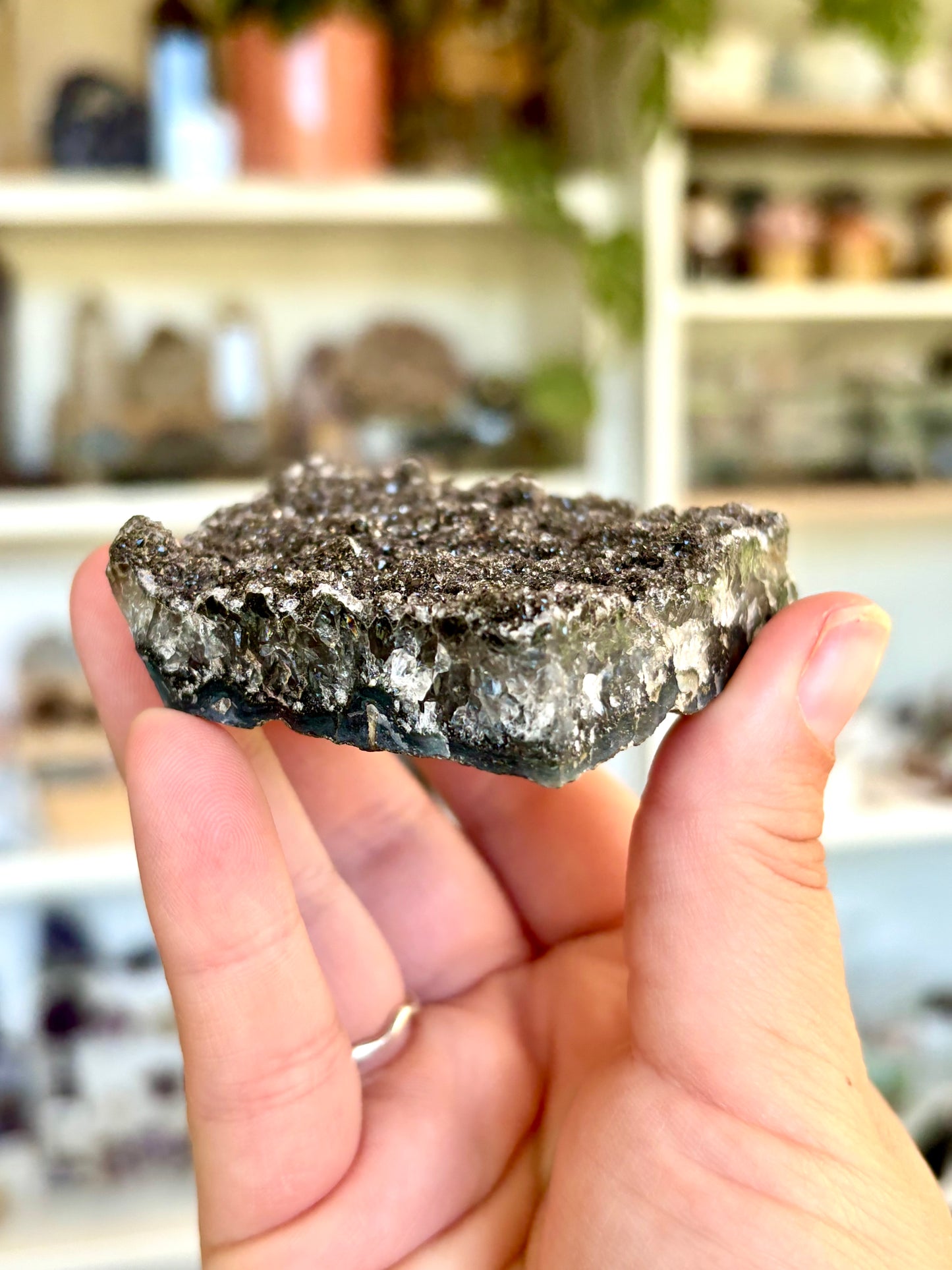Black Amethyst Druse (Brazil)
