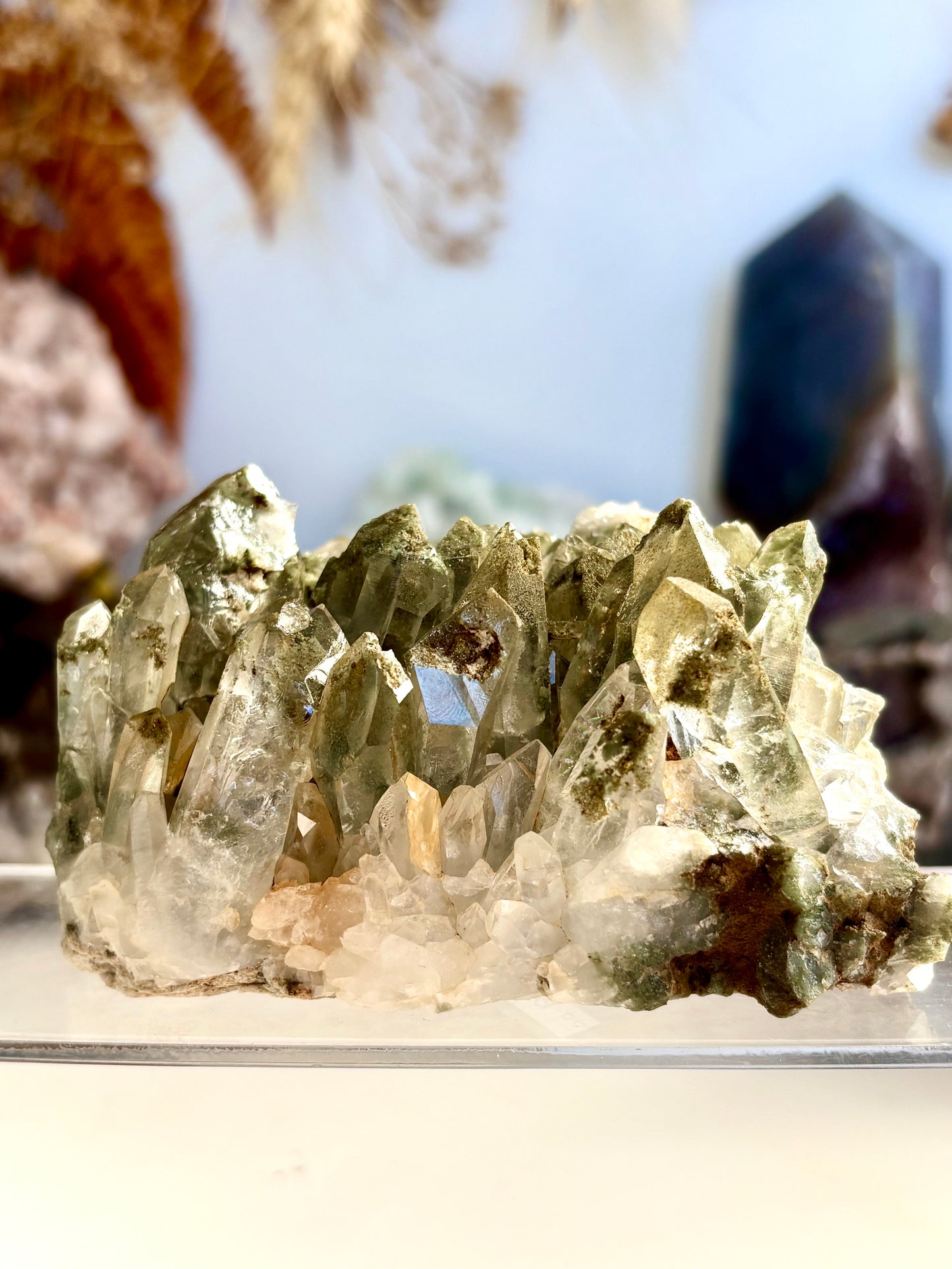 Chlorite Included Quartz