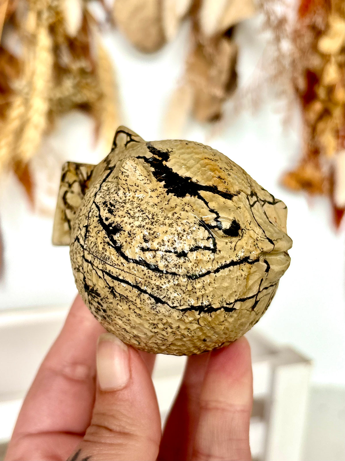 Picture Jasper Puffer Fish