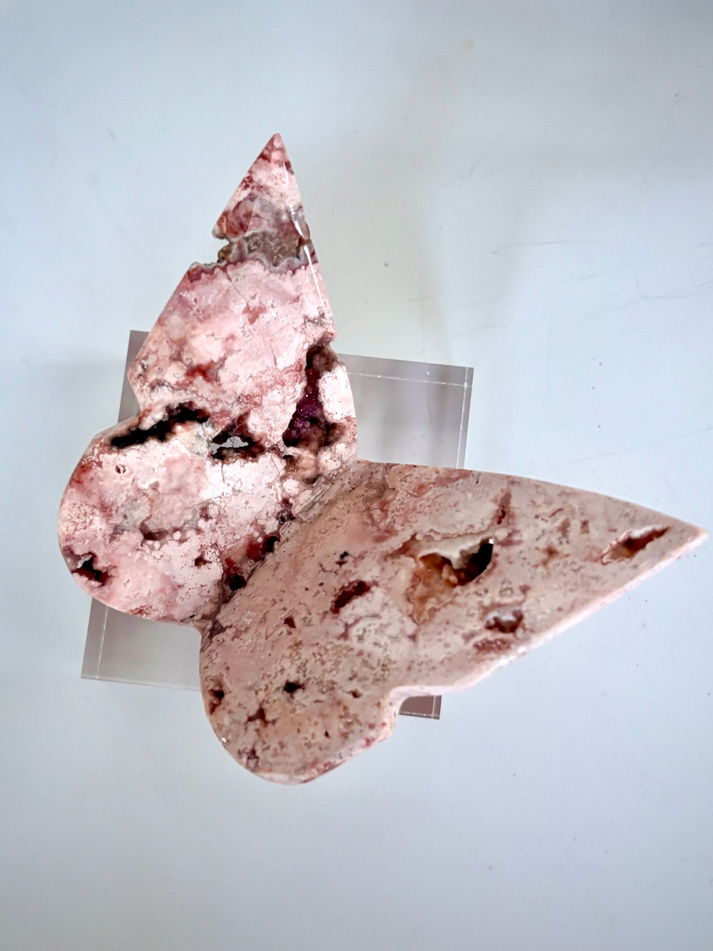 Pink Lace Agate Butterfly - High Grade