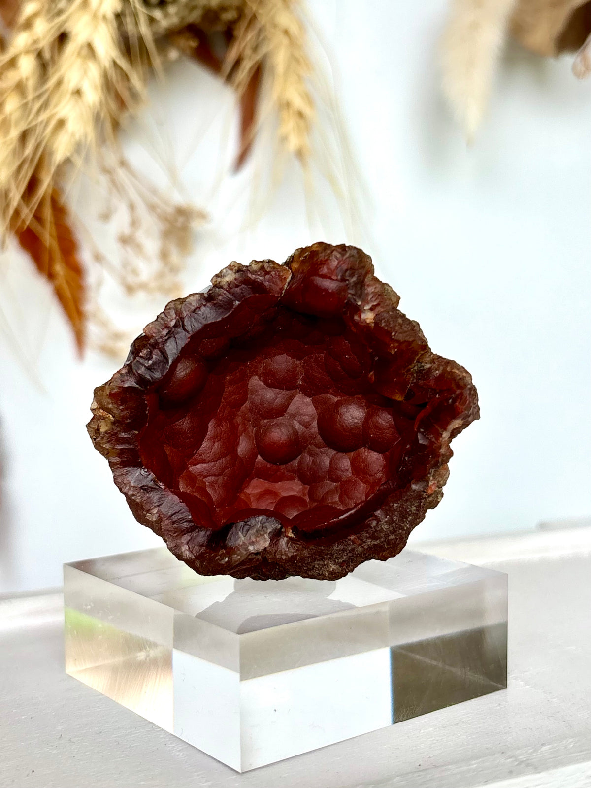 Red Fox Agate Botryoidal Geode (Rare)