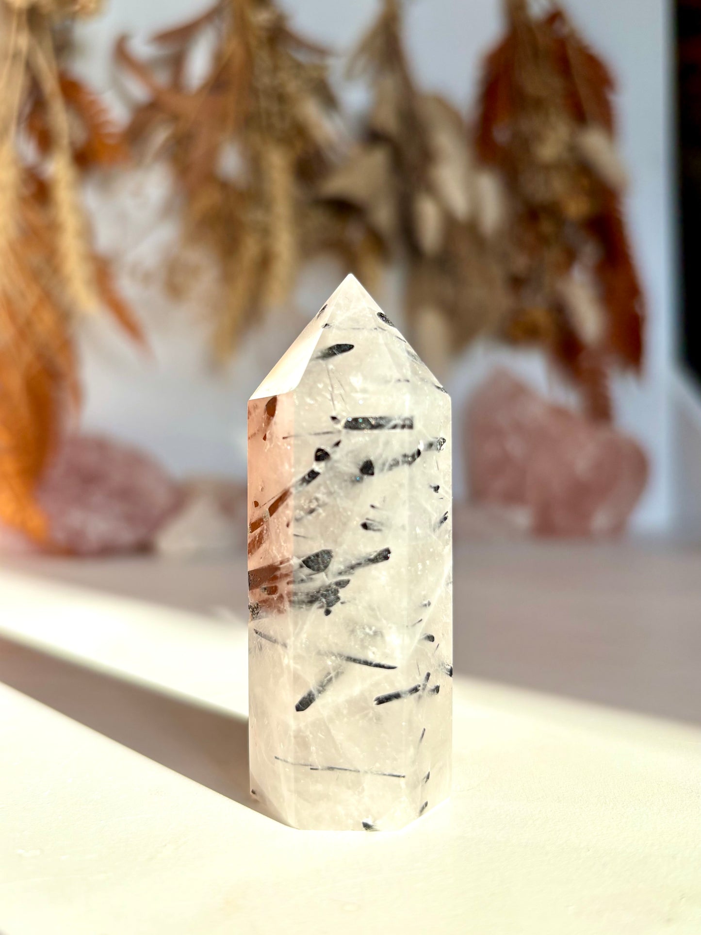 Black Tourmaline in Quartz Point