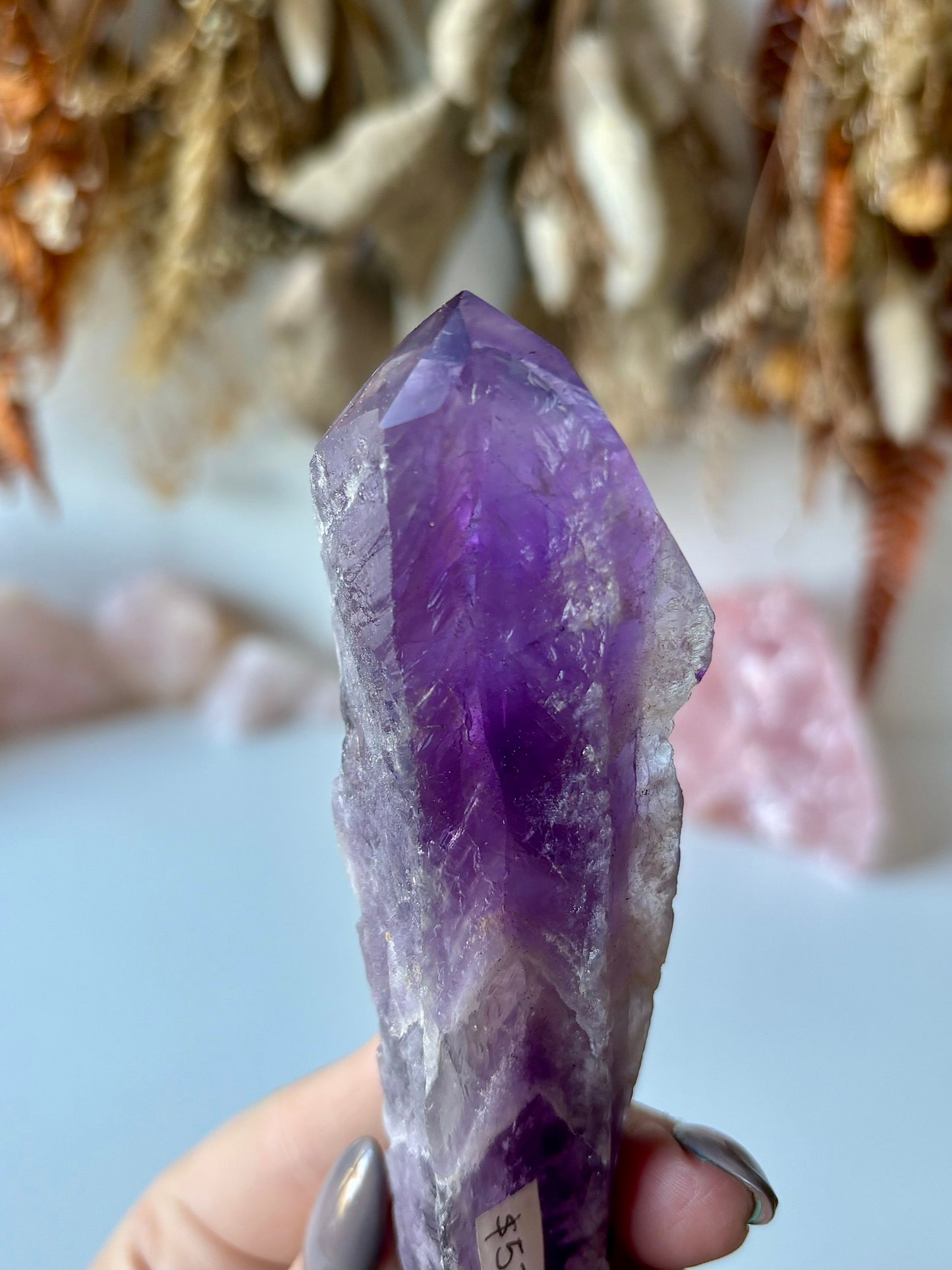 Bahia Amethyst (B)