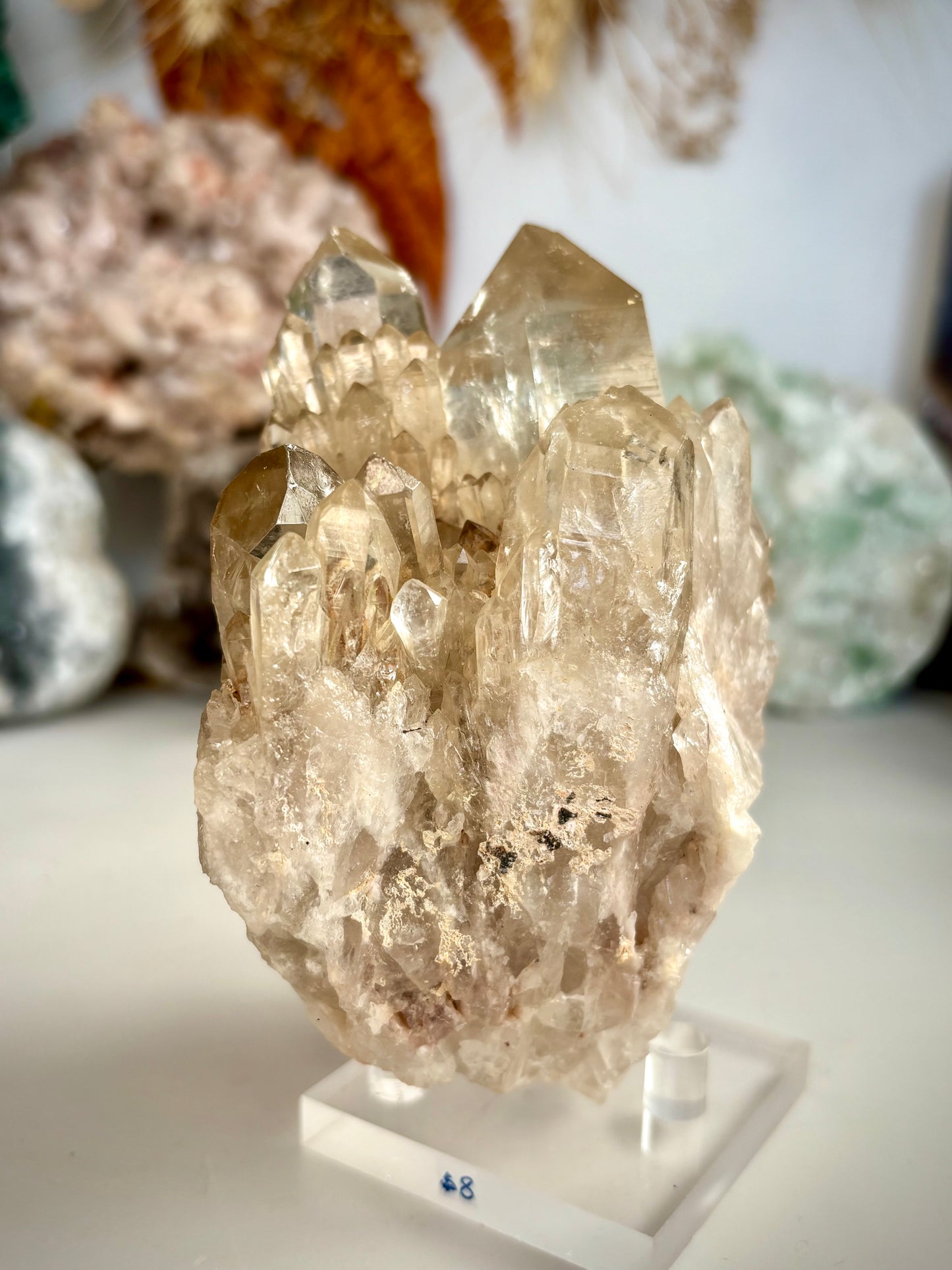 Natural Citrine Kundalini - Africa