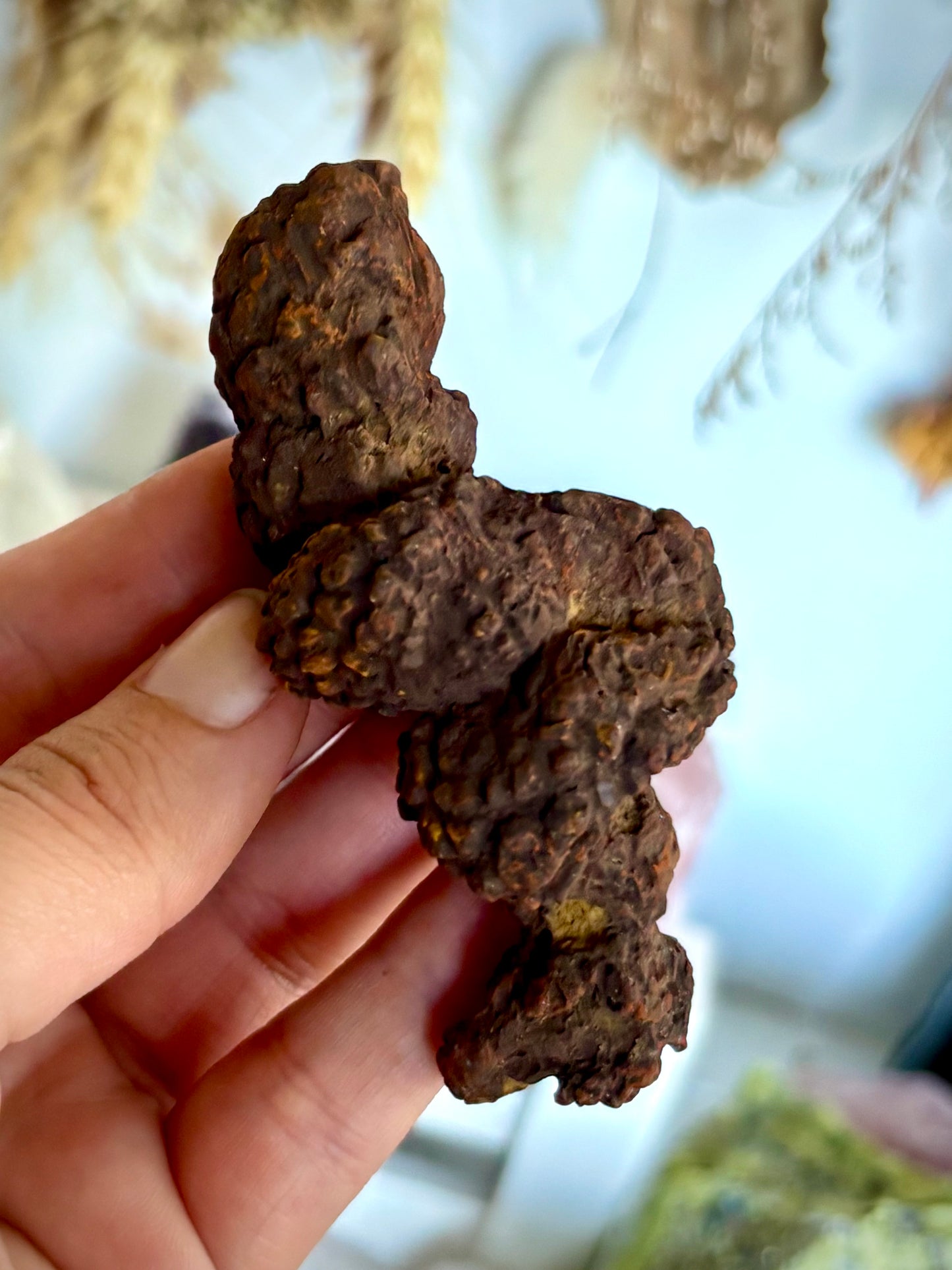 Fossilised Dinosaur Crap - Coprolite
