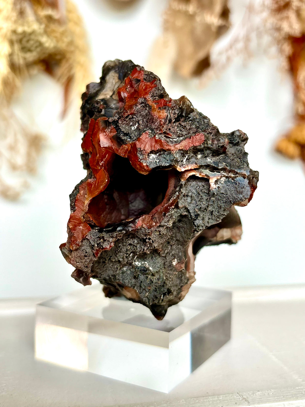 Red Fox Agate Botryoidal Geode (Rare)
