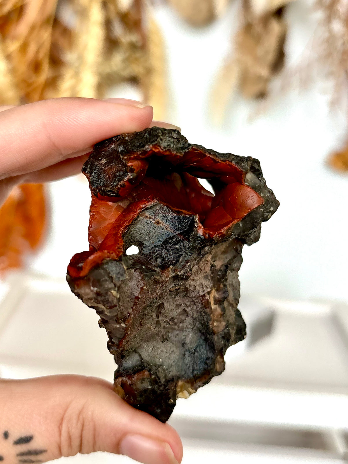 Red Fox Agate Botryoidal Geode (Rare)