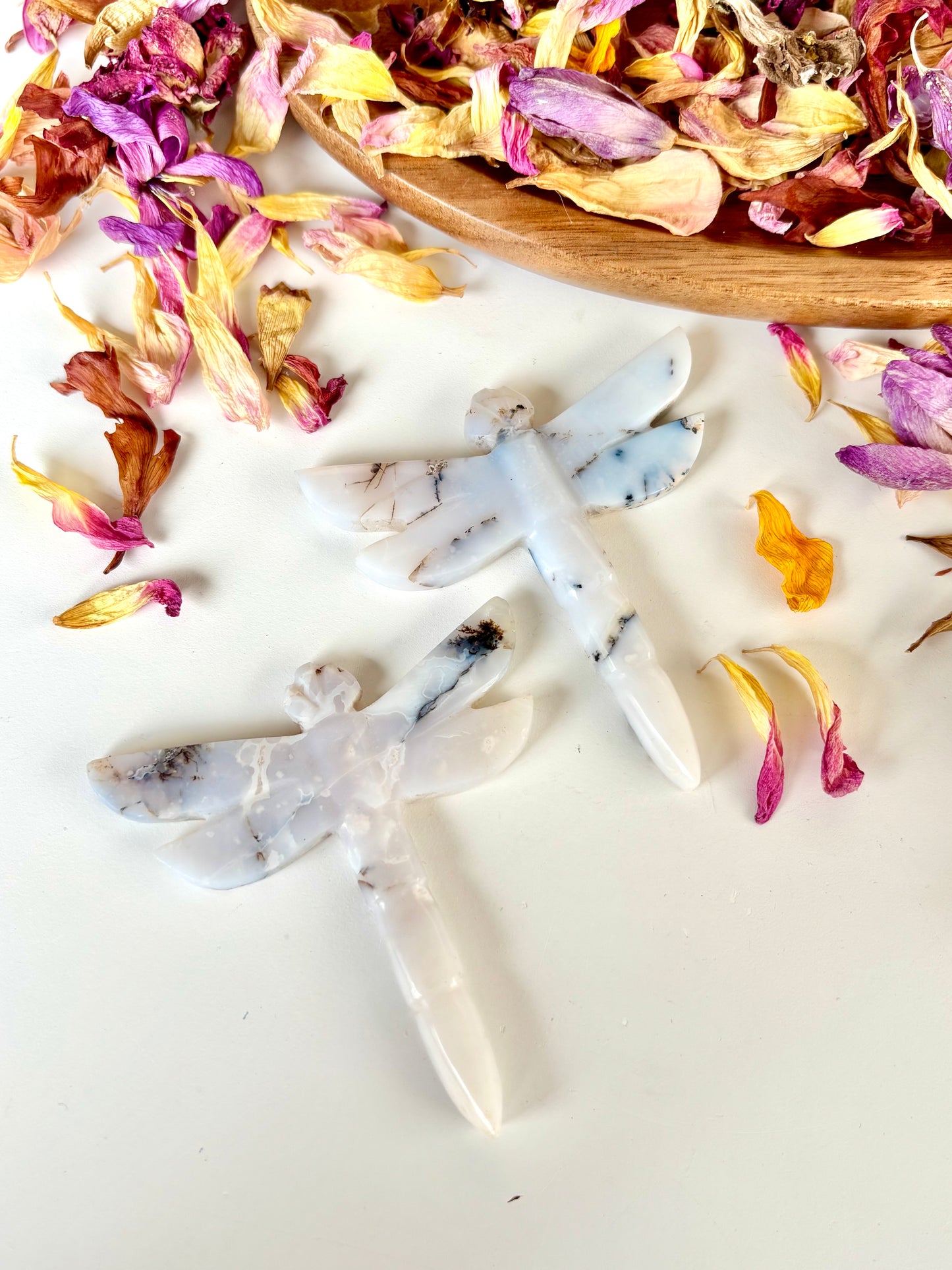 Dendritic Snow Agate Dragonfly