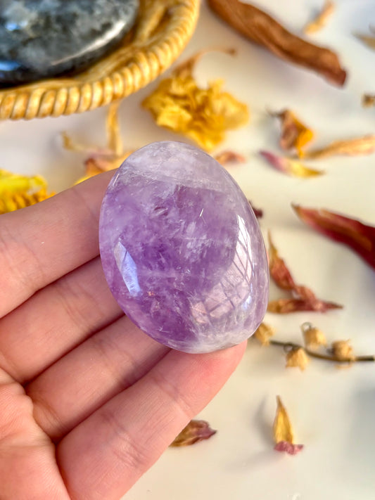 Amethyst Palm