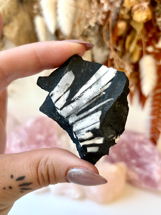 Chrysanthemum Stone Specimen