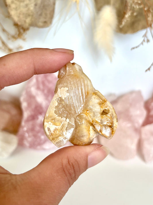 Golden Lace Agate Bee (2)