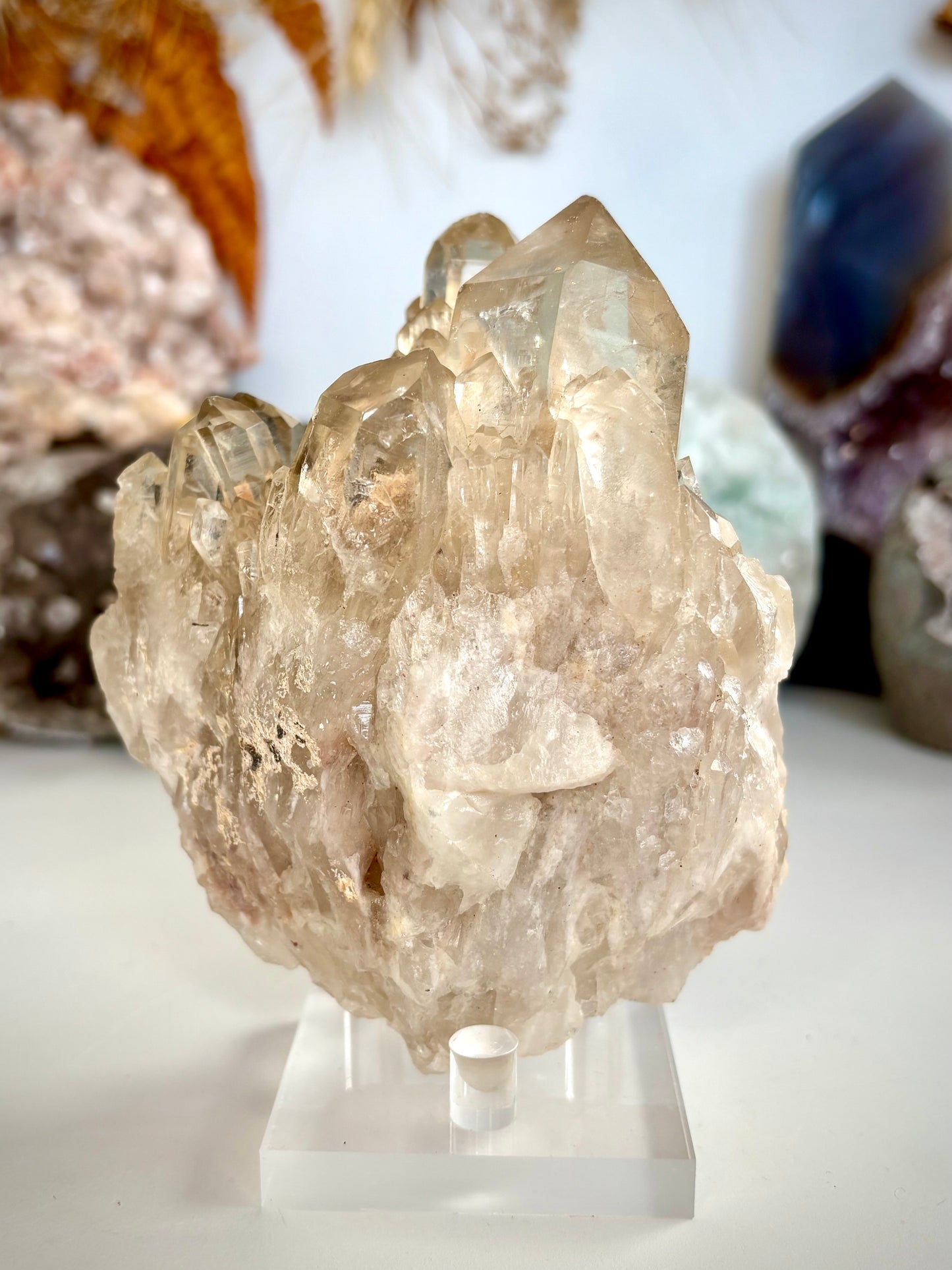Natural Citrine Kundalini - Africa