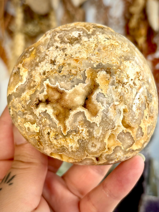 Golden Crazy Lace Agate - Indonesia