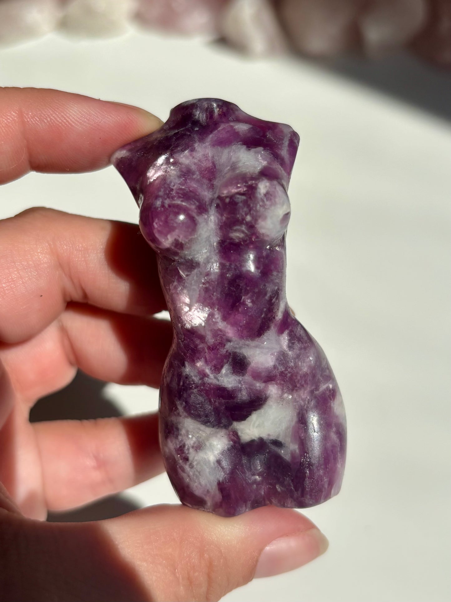 Purple Mica Womans Bodice