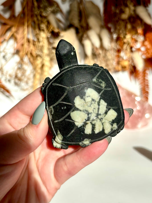 Chrysanthemum Stone Carved Turtle
