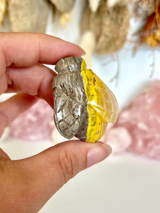 Bumblebee Jasper Bee (5)