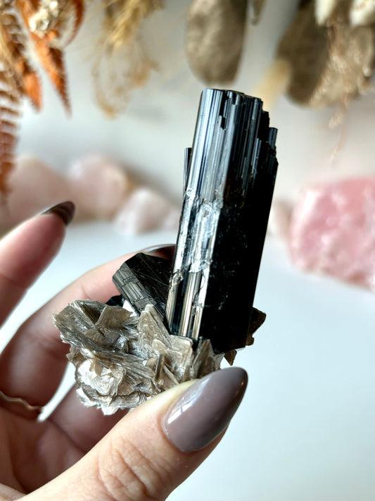 Schorl Tourmaline with Muscovite