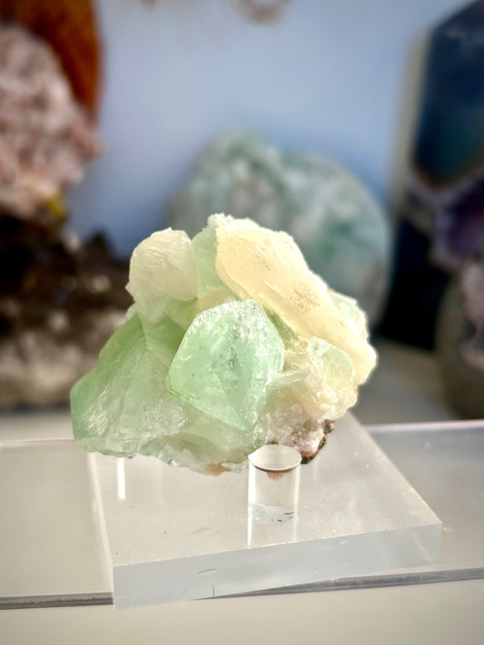 Green Apophyllite with Stilbite - India