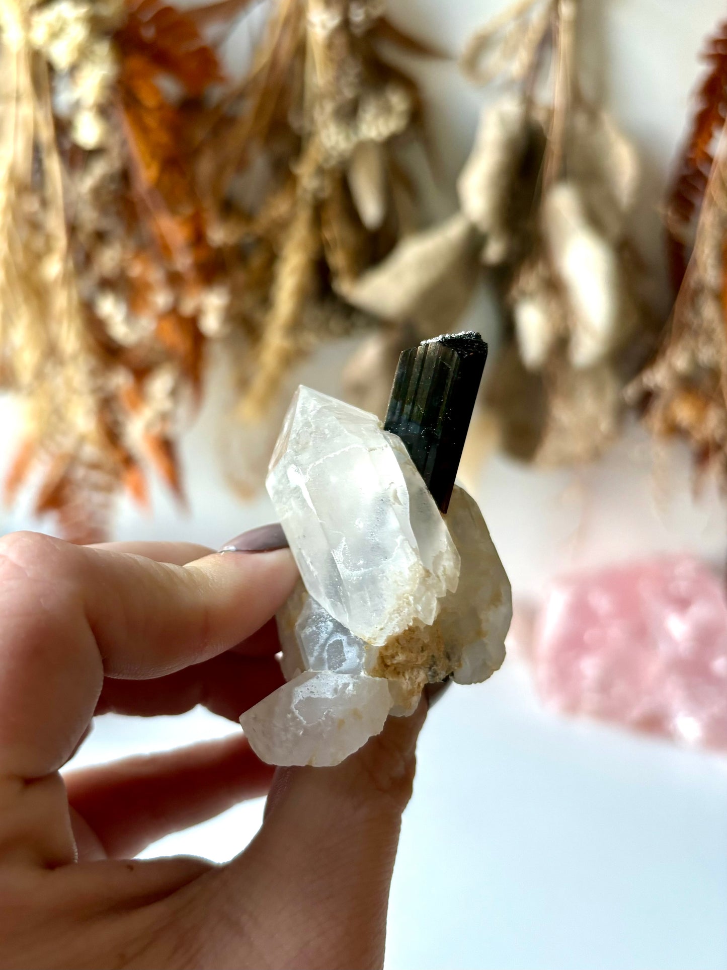 Schorl Black Tourmaline on Clear Quartz