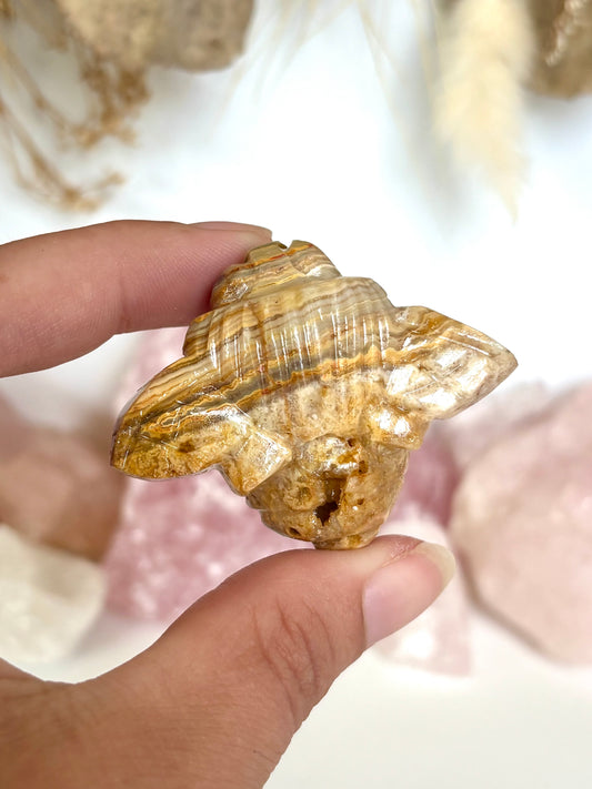Golden Lace Agate Bee (5)