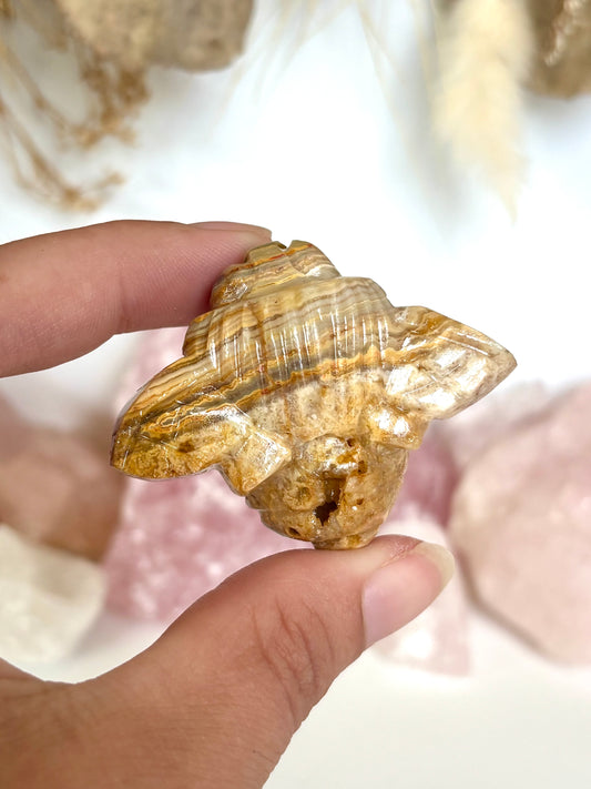 Golden Lace Agate Bee (5)