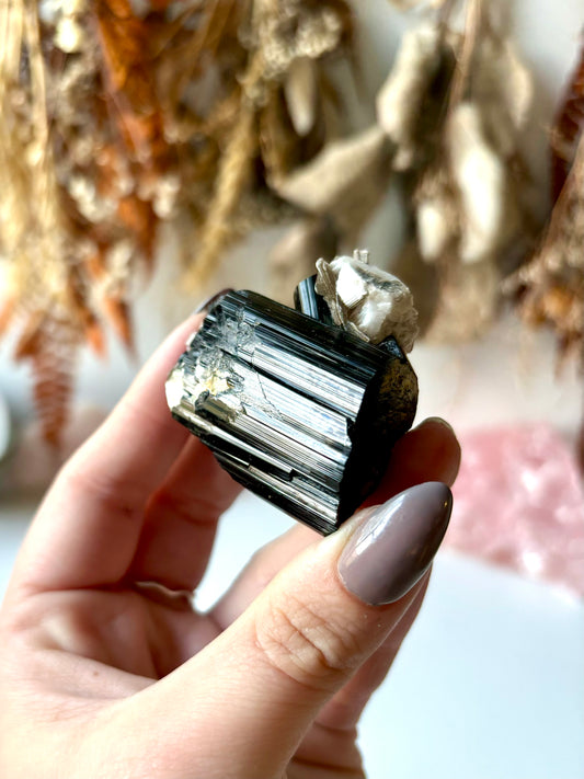 Schorl Tourmaline with a little Muscovite