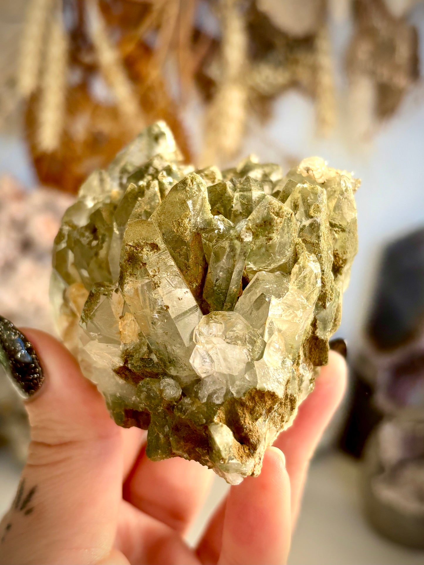 Chlorite Included Quartz