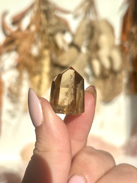Natural Citrine Polished Mini Point