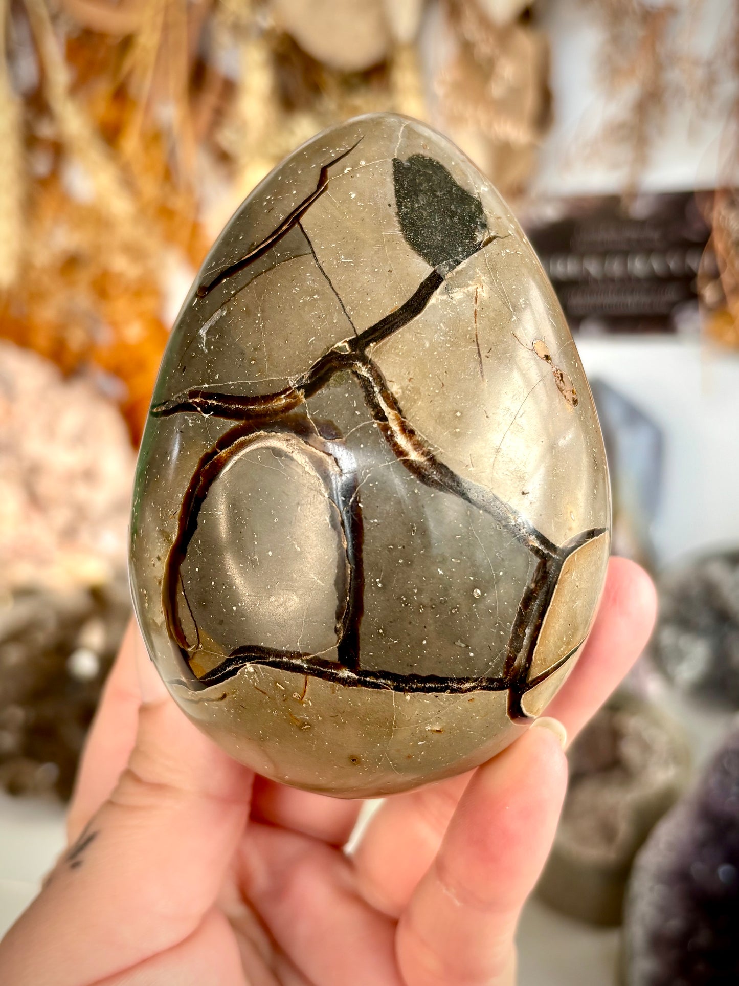 Septarian Egg