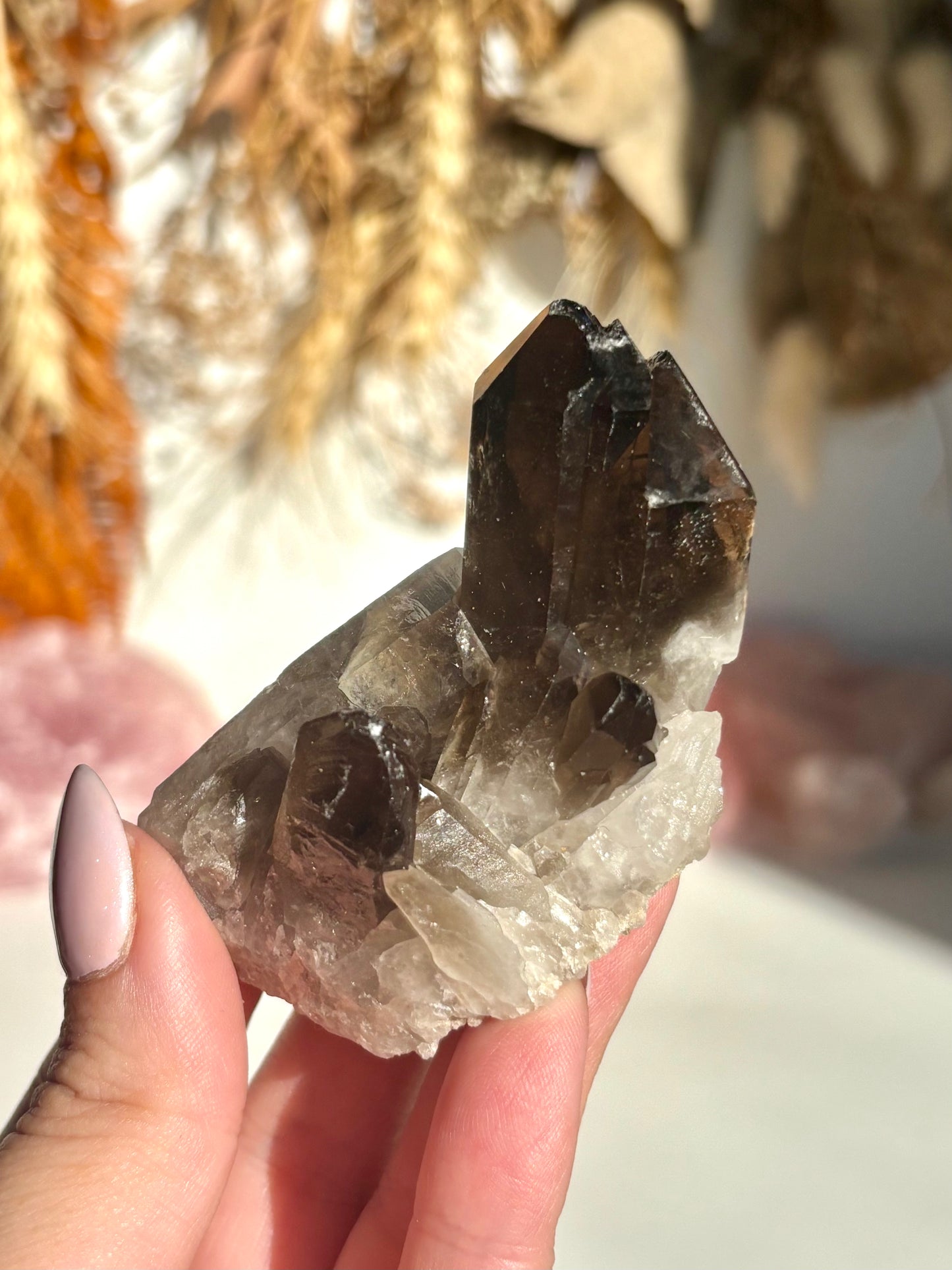 Smoky Quartz Cluster (Brazil)