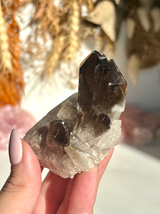 Smoky Quartz Cluster (Brazil)